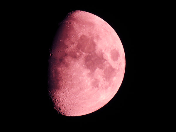 Luna's Phases